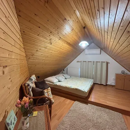 U Janosika 3*