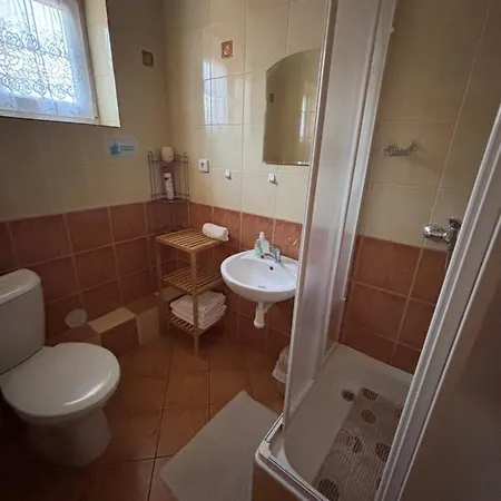 Gasthuis U Janosika 3*